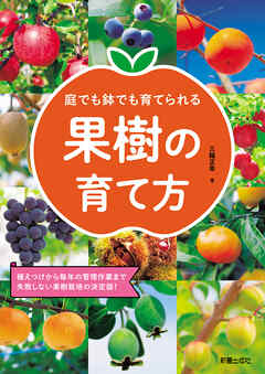 庭でも鉢でも育てられる 果樹の育て方