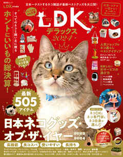 晋遊舎ムック　ネコDK デラックス 2024