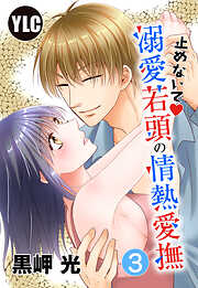 【期間限定　無料お試し版】【単話売】止めないで溺愛若頭の情熱愛撫 3話