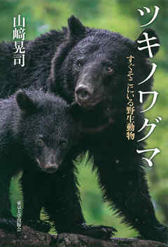 ツキノワグマ　すぐそこにいる野生動物