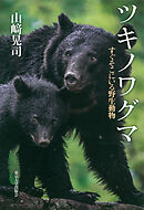 ツキノワグマ　すぐそこにいる野生動物