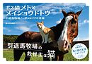 ボス猫メトとメイショウドトウ
