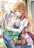 憧れの天才公爵様と結婚の予定でしたが、本日婚約解消を言い逃げします3