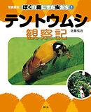 写真絵本　ぼくの庭にきた虫たち1　テントウムシ観察記