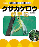 写真絵本　ぼくの庭にきた虫たち7　クサカゲロウ観察記