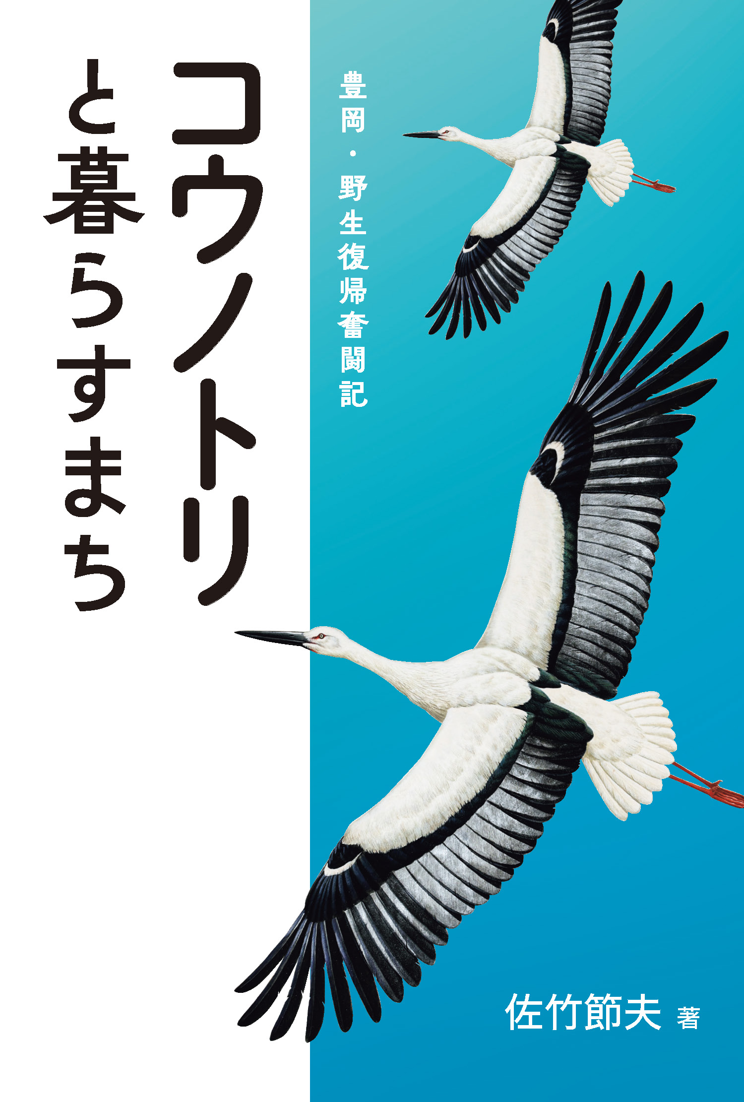 ✩ コウノトリさま専用 ✩アクセサリー - www.sevanandamtrust.org