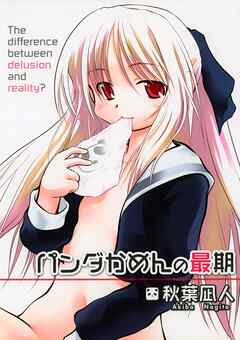 パンダかめんの最期