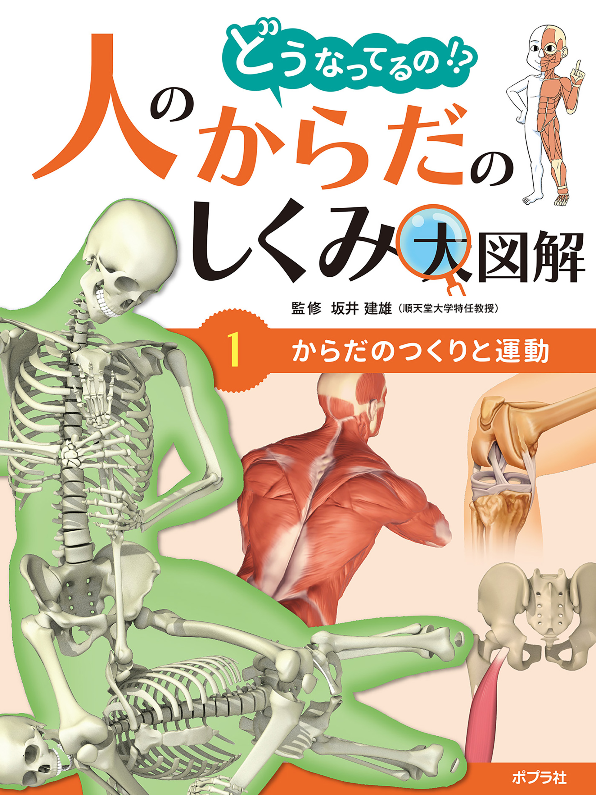 人体解剖ビジュアル : からだの仕組みと病気 - 健康・医学