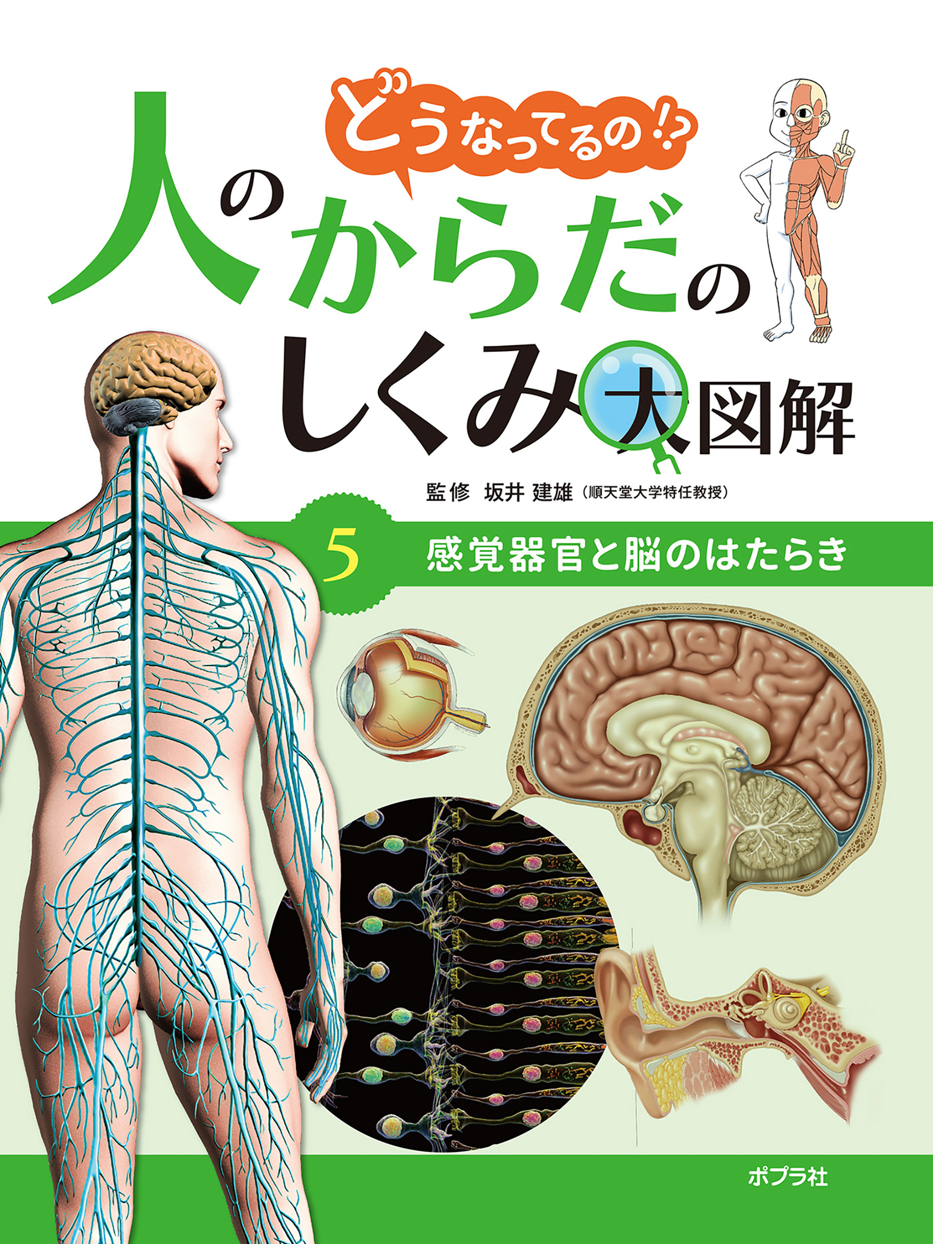 イルカの解剖学 身体構造と機能の理解 - コンピュータ/IT