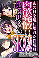 肉欲発散！！逃げ場なしの全方位SEX ～あの日を境に壊れた性玩具～【CG集コレクション ミニ】