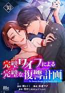 完璧ワイフによる完璧な復讐計画 30