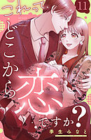 これって、どこから恋ですか？　分冊版（１１）