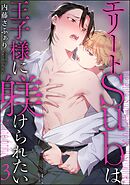 エリートSubは王子様に躾けられたい（分冊版）　【第3話】＜デジタル版＞