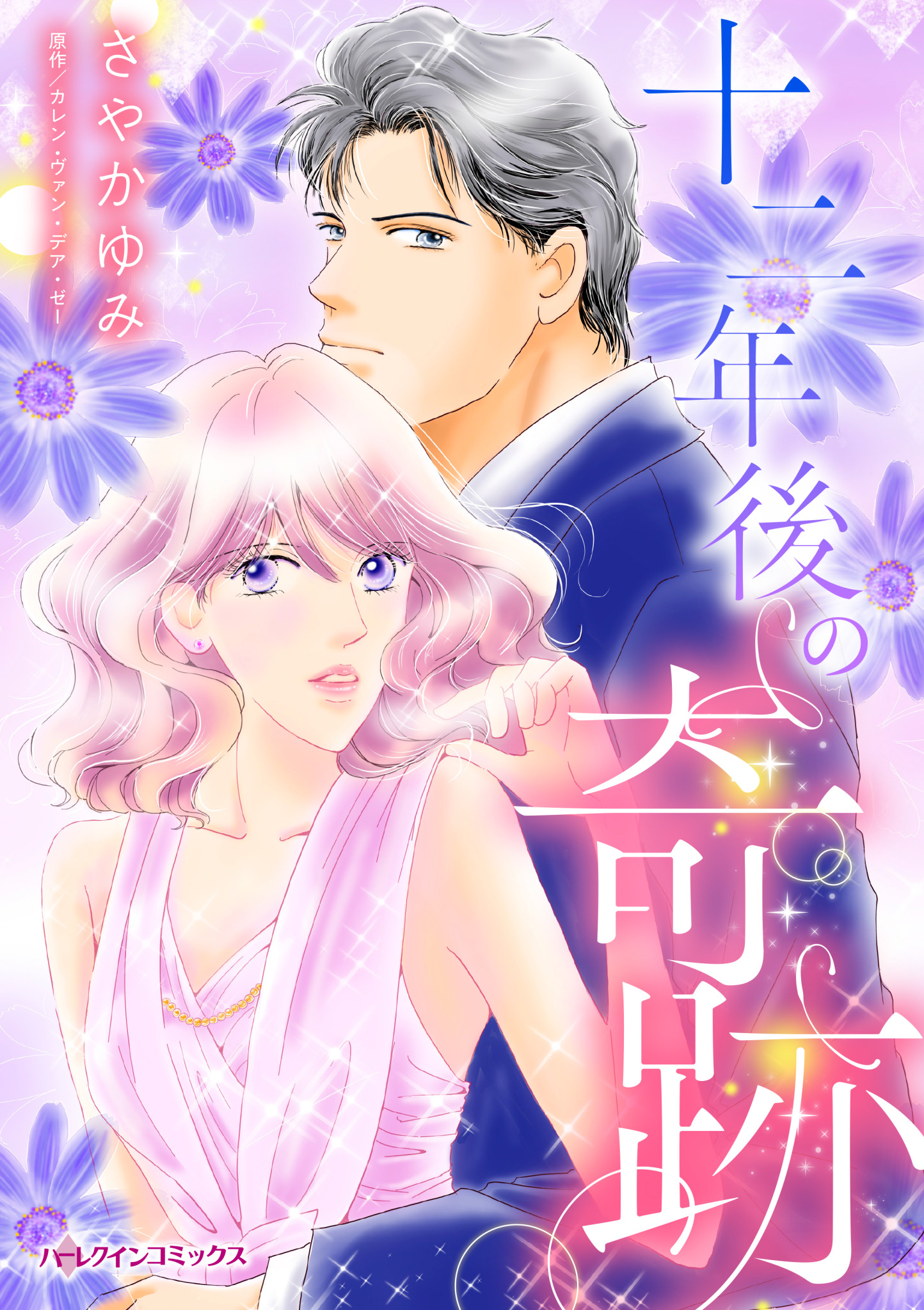 十二年後の奇跡 - カレン・ヴァン・デア・ゼー/さやかゆみ - 電子書籍