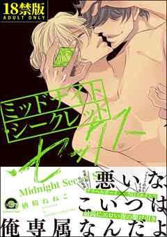 ミッドナイト・シークレット・セックス【極】【電子限定かきおろし漫画付】