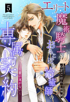 エリート魔術騎士とおちこぼれ治癒師の専属契約　～番い運がない～【５】