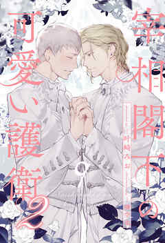 宰相閣下の可愛い護衛２【９】