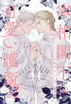 宰相閣下の可愛い護衛２【１１】