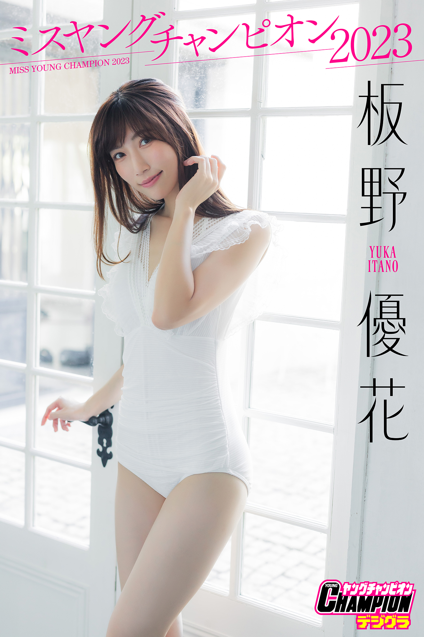 YOUNG CHAMPION 付録 アイドルクリアファイル 38冊 【公式通販】