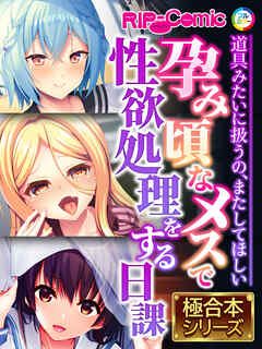 孕み頃なメスで性欲処理をする日課 ～道具みたいに扱うの、またしてほしい～【極合本シリーズ】