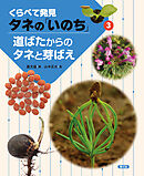 くらべて発見　タネの「いのち」　道ばたからのタネと芽ばえ