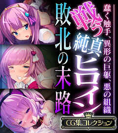 戦う純真ヒロイン敗北の末路 ～蠢く触手、異形の巨躯、悪の組織～【CG集コレクション】