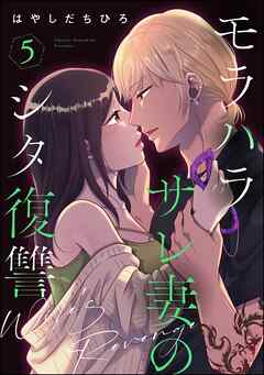 モラハラサレ妻のシタ復讐