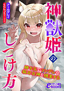 神獣姫のしつけ方　勝ち気でツンデレな猫耳女神を懐柔する