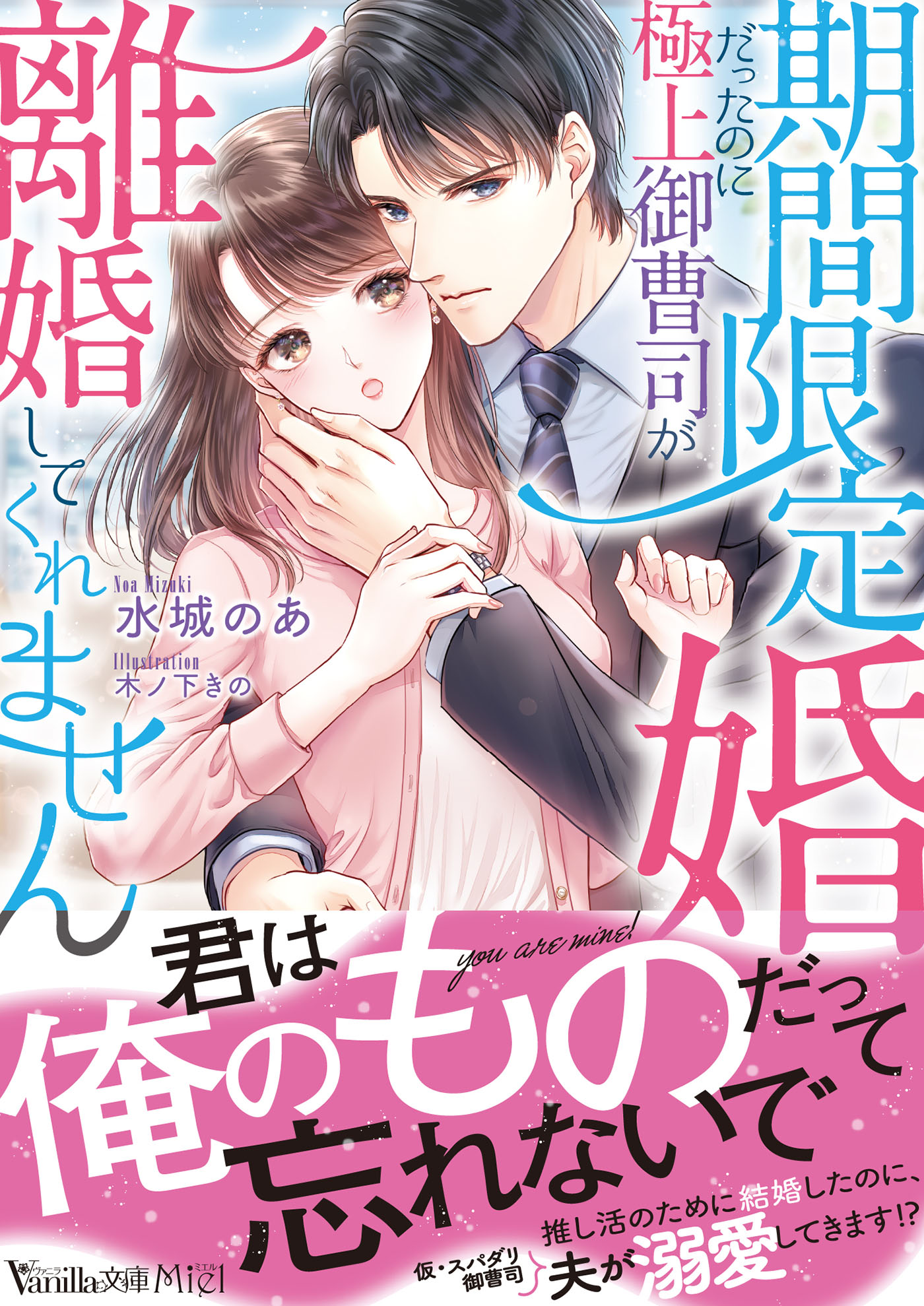 期間限定婚だったのに極上御曹司が離婚してくれません - 水城のあ