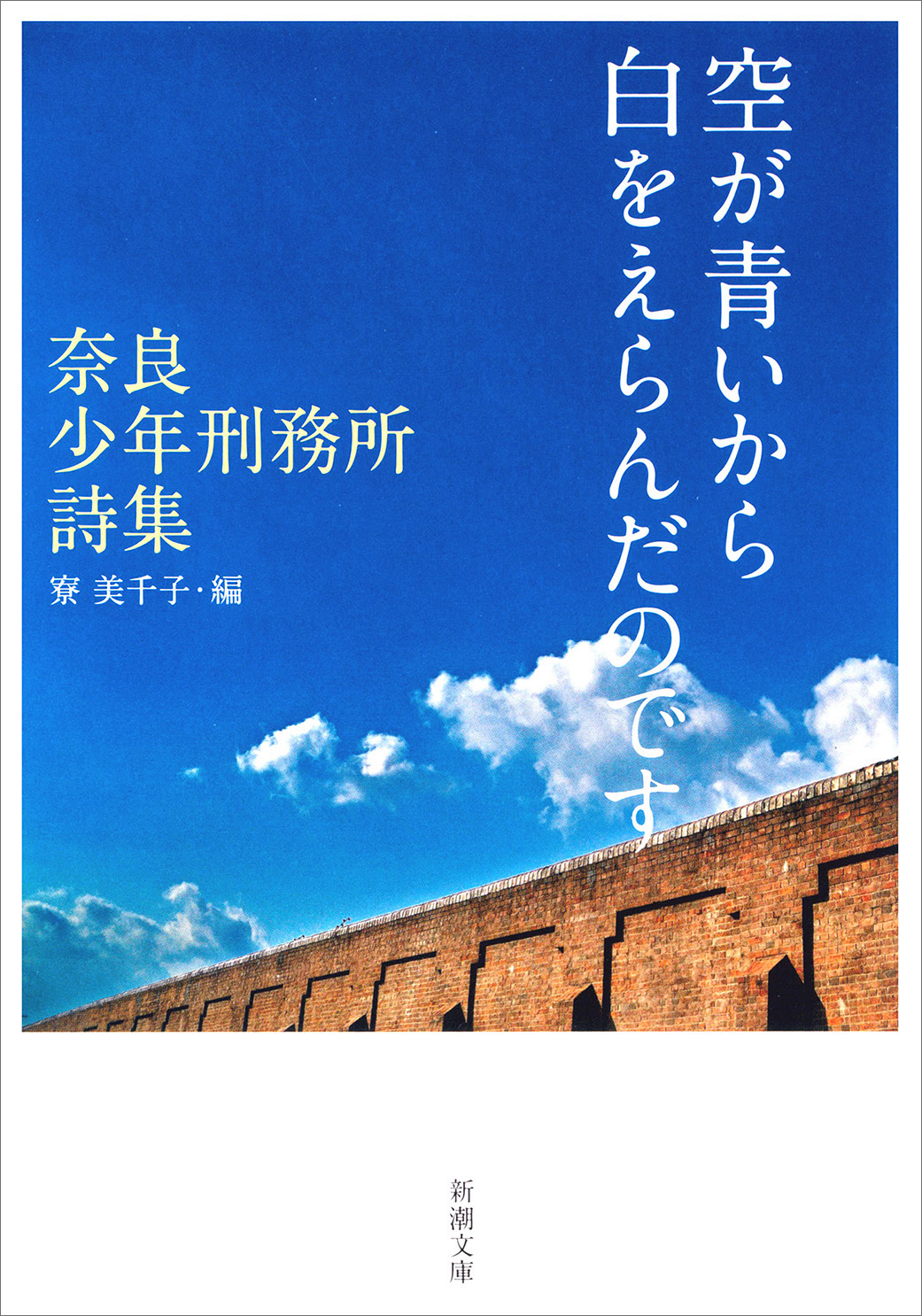 空が青いから白をえらんだのです―奈良少年刑務所詩集―（新潮文庫