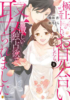 極上エリートとお見合いしたら、激しい独占欲で娶られました　俺様上司と性癖が一致しています３