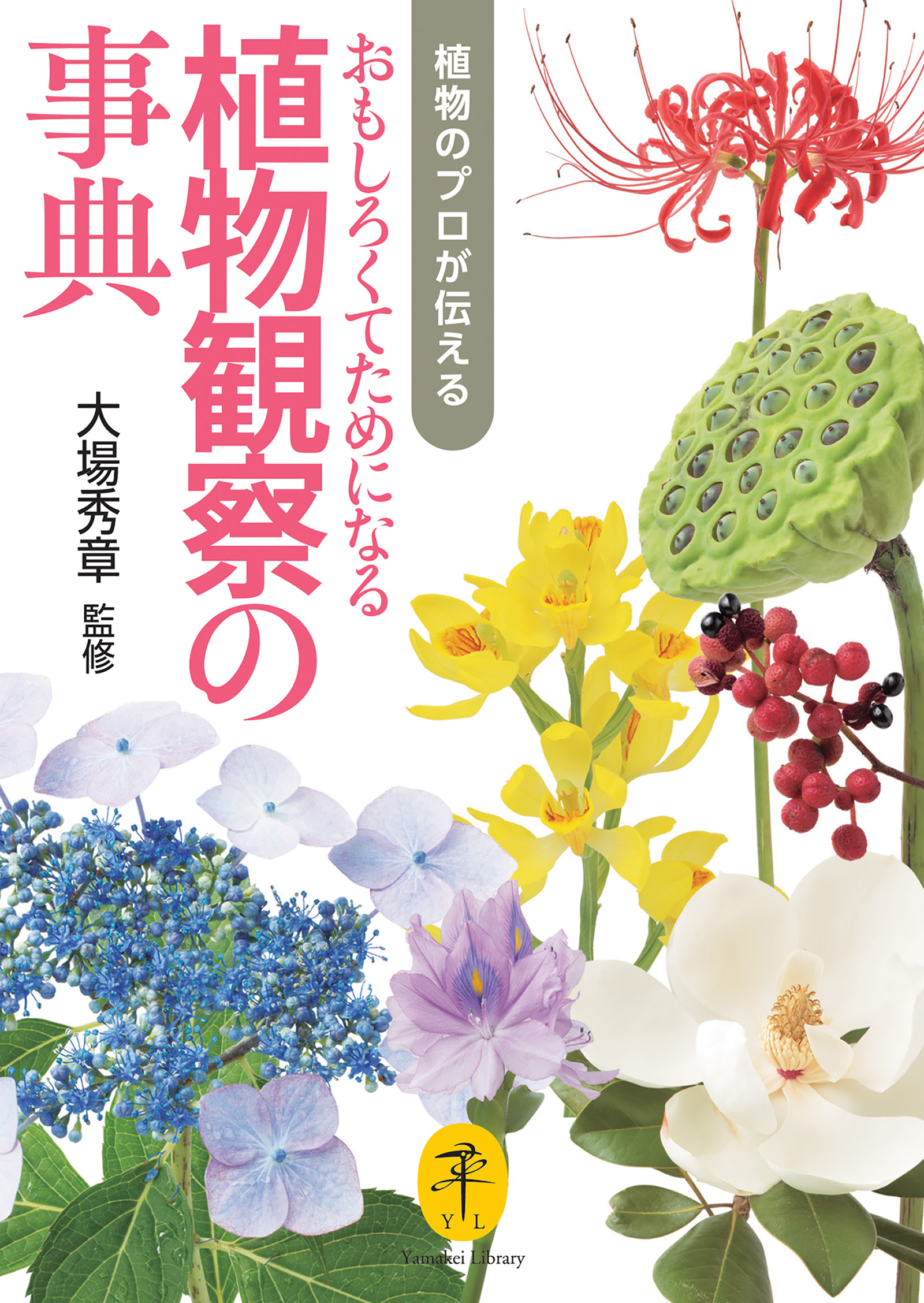 読んで楽しむ草花の事典 [本]