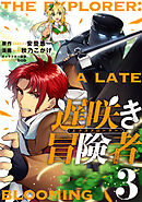 遅咲き冒険者 （3）