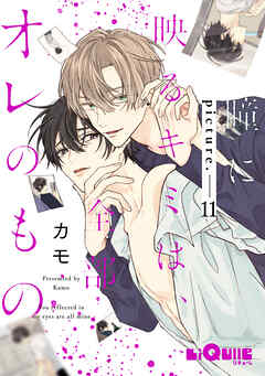 瞳に映るキミは、全部オレのもの　picture.11