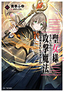 聖女様になりたいのに攻撃魔法しか使えないんですけど！？ 3