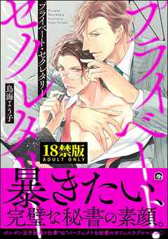 プライベート・セクレタリー【極】【電子限定かきおろし漫画付】