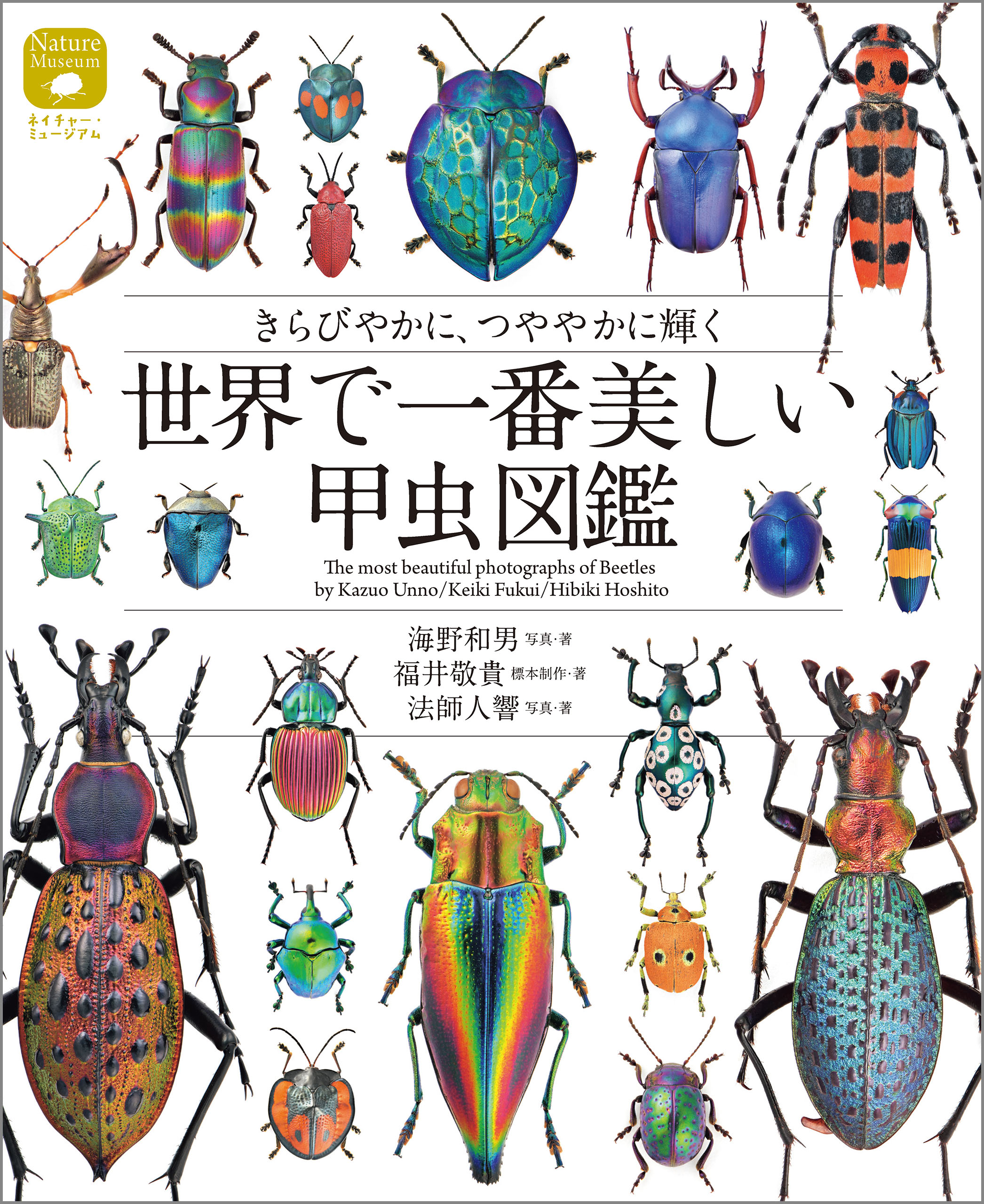 世界で一番美しい甲虫図鑑：きらびやかに、つややかに輝く - 海野和男/福井敬貴 - ビジネス・実用書・無料試し読みなら、電子書籍・コミックストア  ブックライブ
