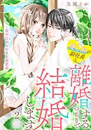 推し似の副社長と離婚するつもりで結婚します～塩対応から始まる溺愛婚～（２）