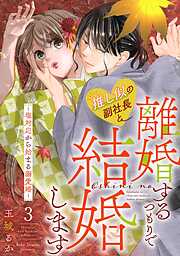 推し似の副社長と離婚するつもりで結婚します～塩対応から始まる溺愛婚～