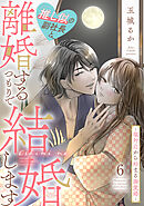 推し似の副社長と離婚するつもりで結婚します～塩対応から始まる溺愛婚～（６）