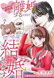 推し似の副社長と離婚するつもりで結婚します～塩対応から始まる溺愛婚～