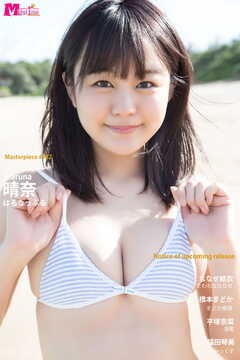 晴奈 はるなっぷる Masterpiece#142