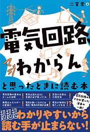 若田光一 日本人のリーダーシップ～ドキュメント 宇宙飛行士選抜試験II