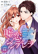 嘘恋シンデレラ～地味OLの私が次期社長に溺愛されるまで～ 【分冊版】 14