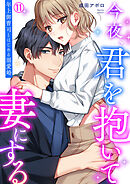 今夜、君を抱いて妻にする～年上御曹司とはじめる溺愛婚【再編集版】(11)