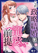 この政略結婚は寵愛前提です～敵国王子の淫らな夜伽