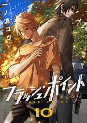 フラッシュ・ポイント