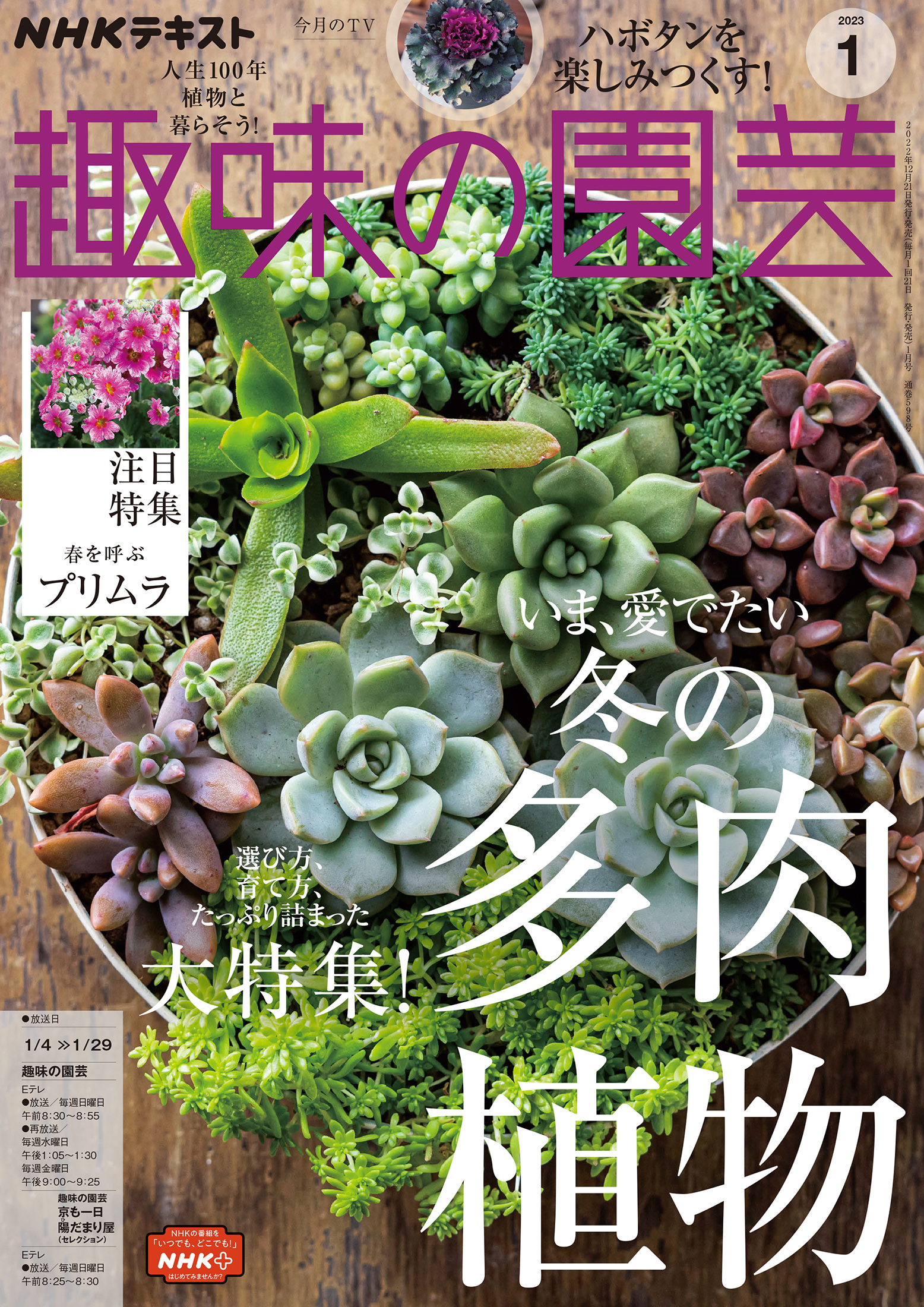 趣味の園芸　雑誌　NHK　2308BKM035-　約300冊　不揃い