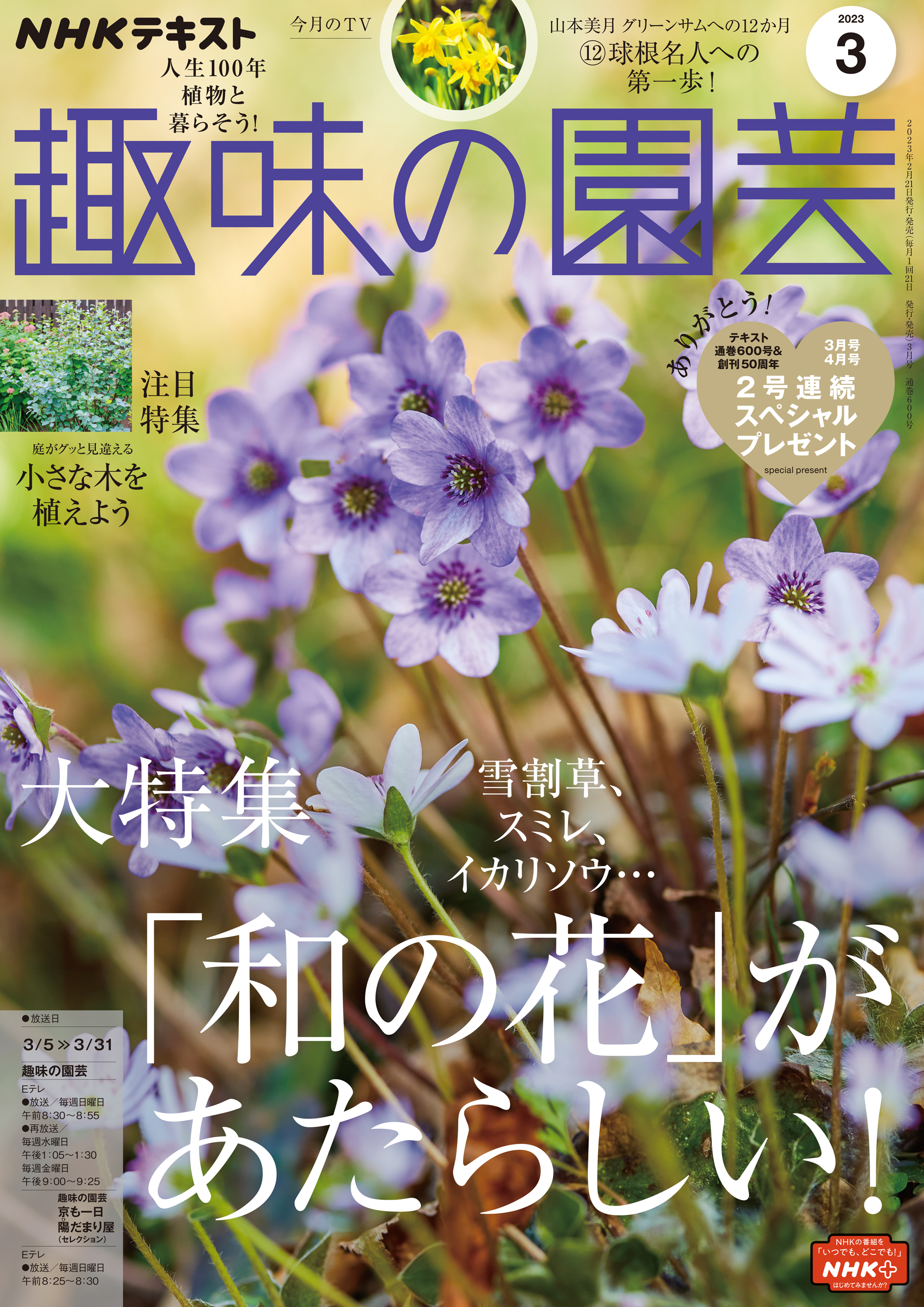 NHK趣味の園芸2023年12月号 冬の寄せ植え シクラメン - 趣味