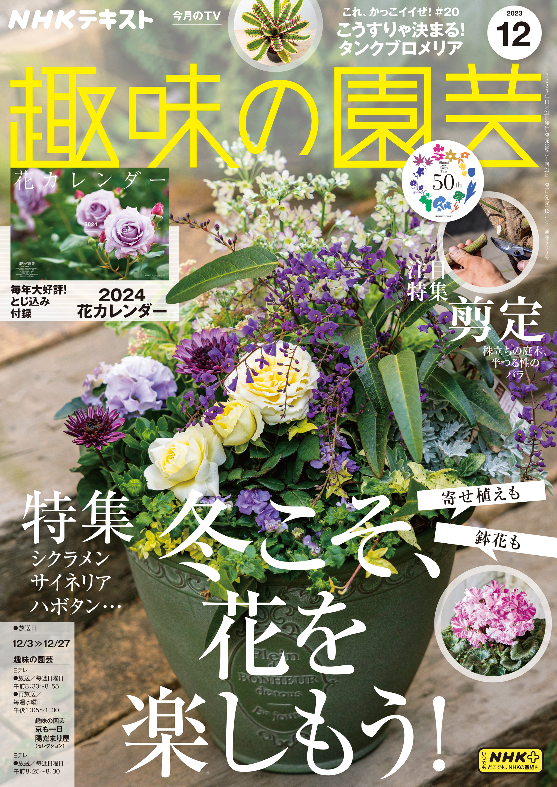 NHK趣味の園芸 2024 3月号 特集一年草で花いっぱい 【国際ブランド】 - 趣味